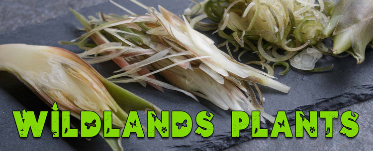 Rare & Unusual Edibles